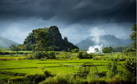 rice fields mai chau