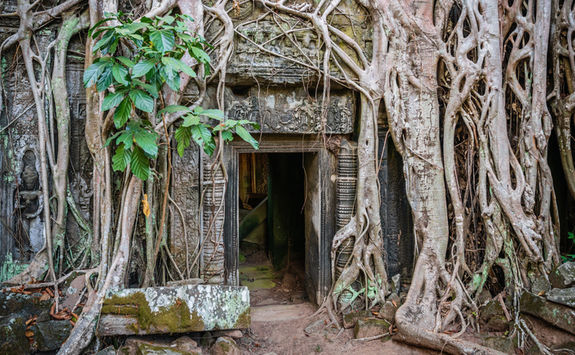 Entrance gate at Ta Prohm in Siem Reap