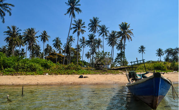 rabbit island beach