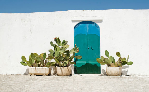 puglia door detail