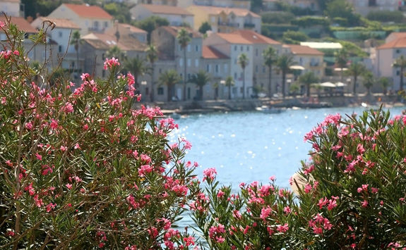 korkula croatia view