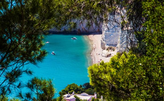 puglia beach through trees