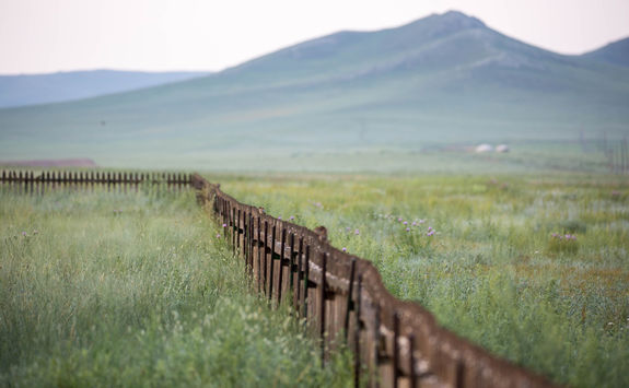 grass land in the steppe