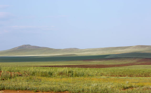 mongolia steppe grassland