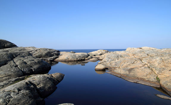 tidal rock pool