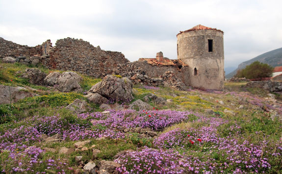 Monemvasia olive