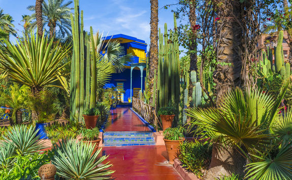 jardin marjorelle