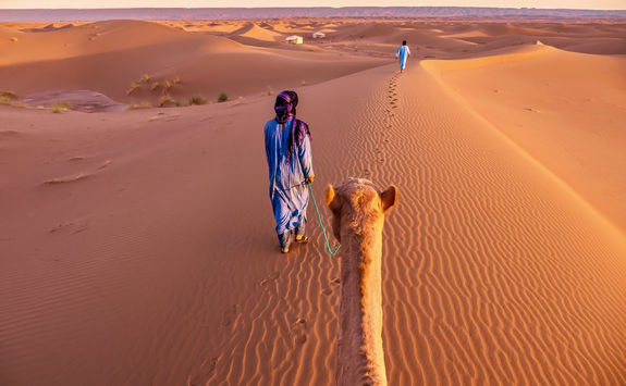sahara desert