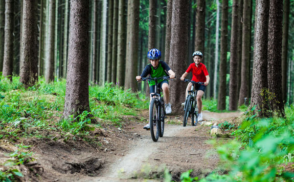 children biking forest