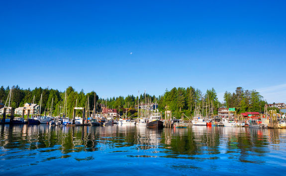 tofino harbour british columbia
