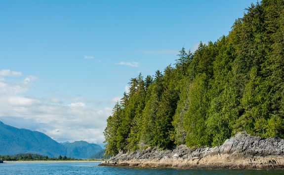 tofino coast