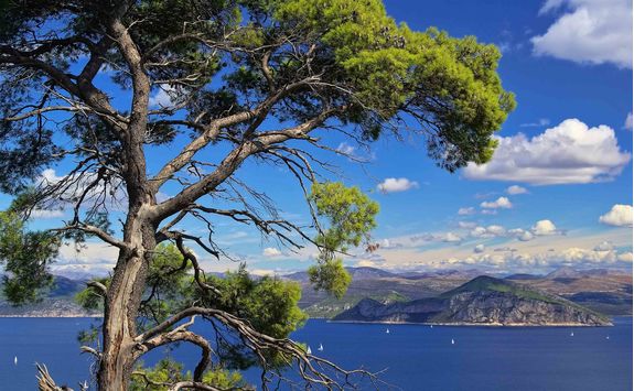 view of the elaphiti islands