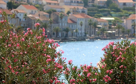 korkula croatia view