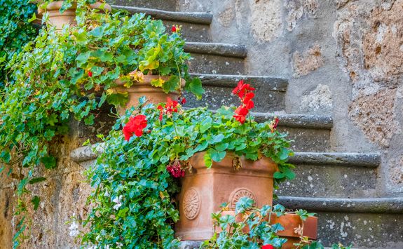 garden steps italy