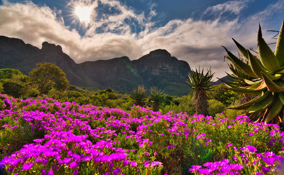 nature valley