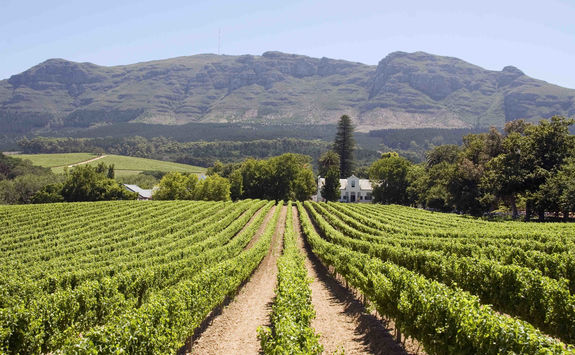 franschhoek winery