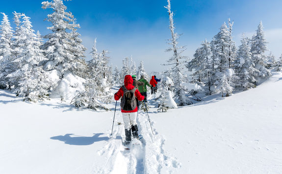 Snowshoeing in Sweden