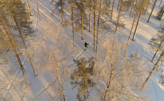 Snowshoeing through Swedish Lapland