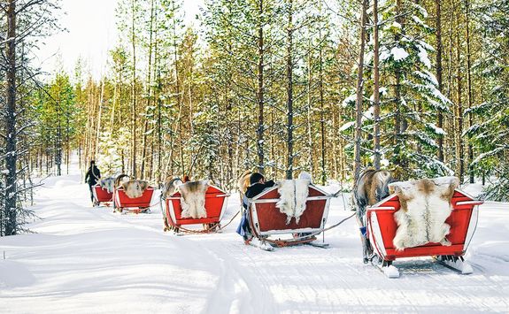 Sami reindeer sleighs