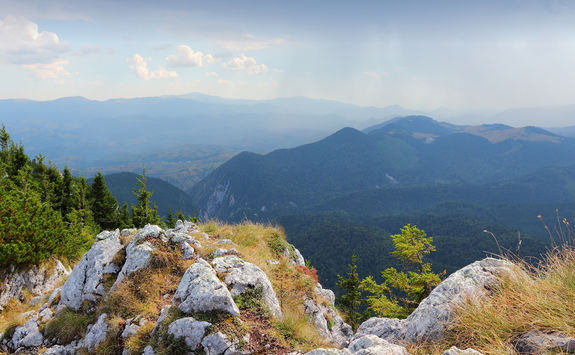 Piatru Craiului National Park