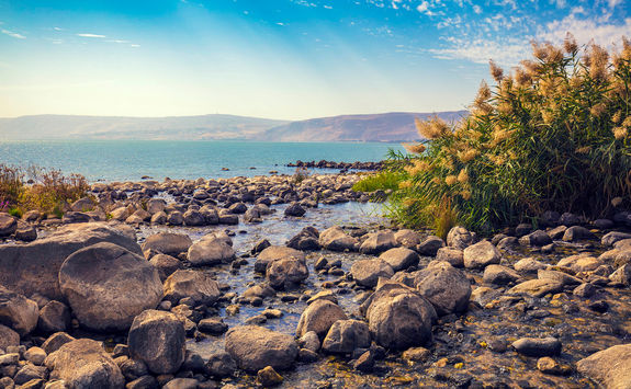Sea of Galilee near Ein Eyov Waterfall in Tabgha