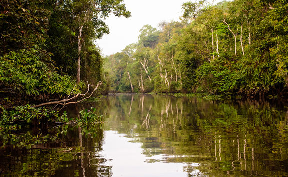 kinabatangan river borneo