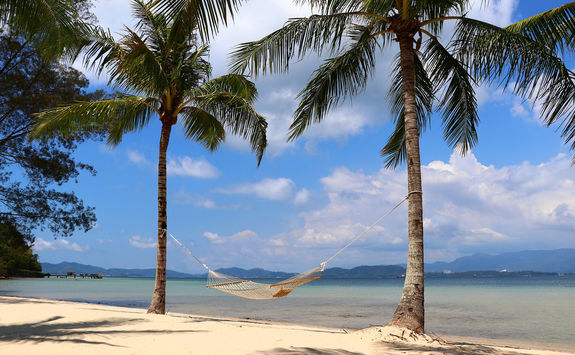 beach hammock