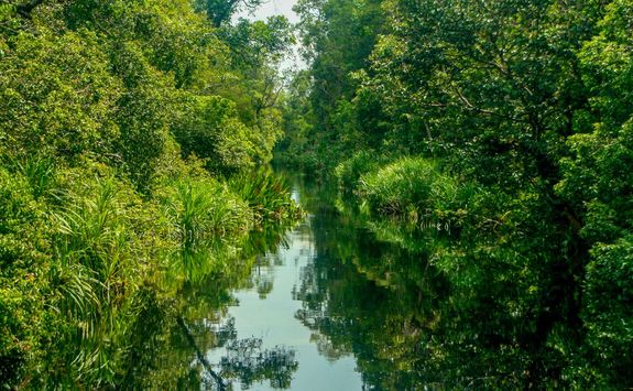 sekonyer river