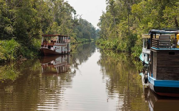 sekonyer river boats
