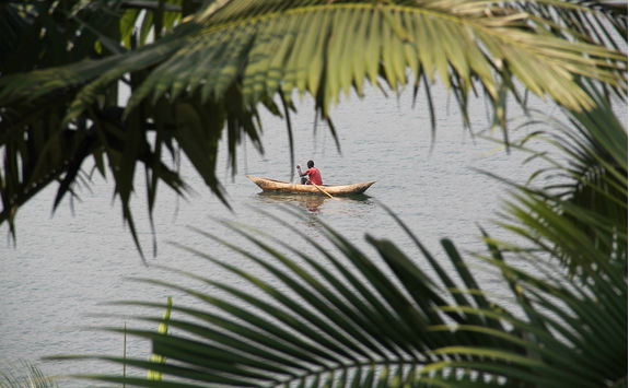 canoe on lake kivu through palm fonds