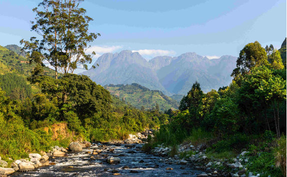 nature rwenzori mountains