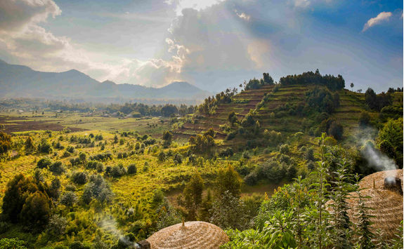 rwanda volcanoes national park