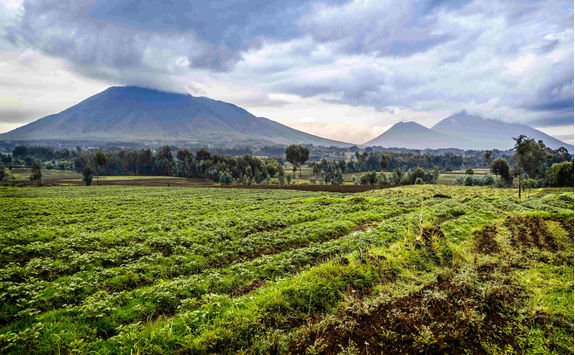 virunga volcano national park