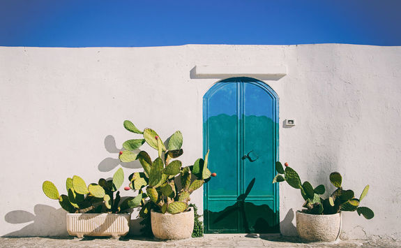 puglia door detail