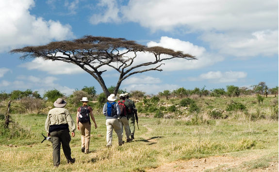 walking safari