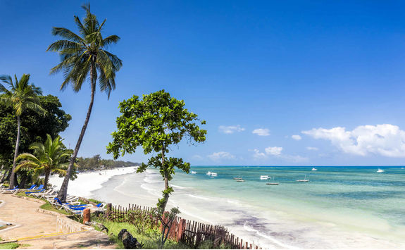tropical diani beach