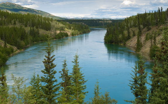 Yukon river