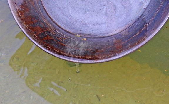 panning for gold
