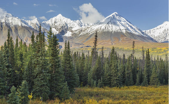 kluane national park