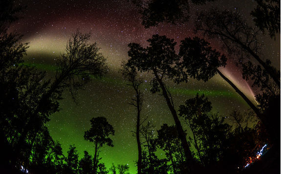 yukon northern lights