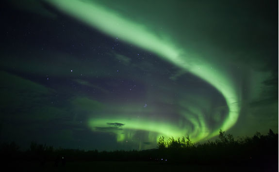 yukon northern lights trees