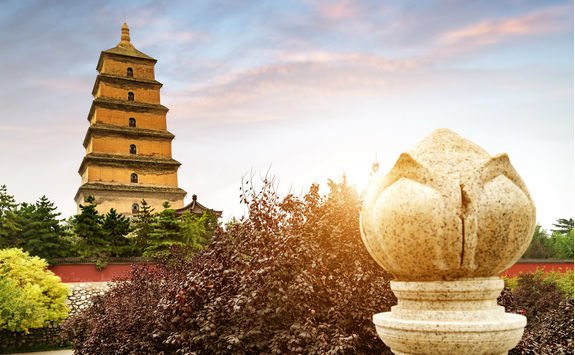 wild goose pagoda