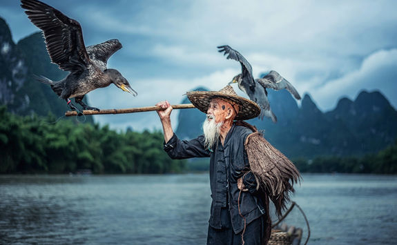 cormorant fisherman