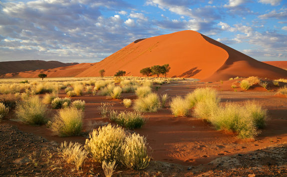 sossusvlei sand dune