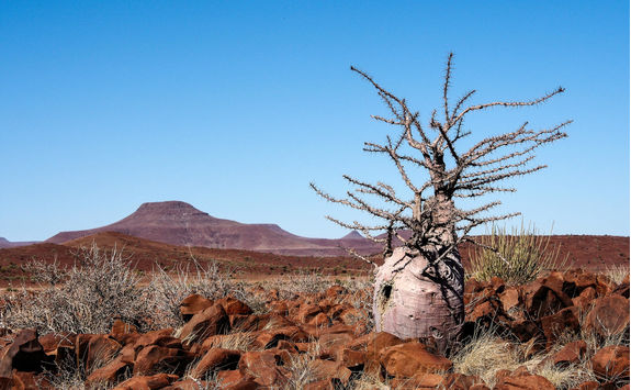 desert view twfelfontein