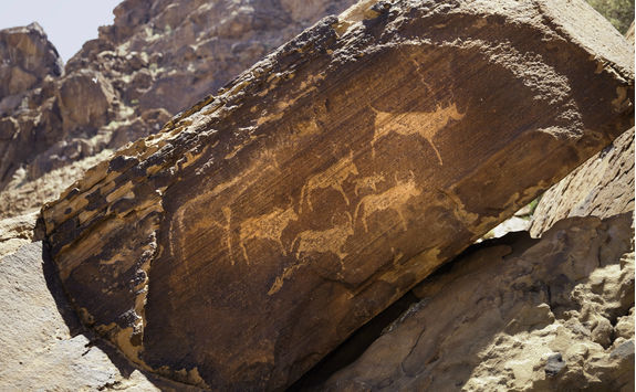 rock art twyfellfontein