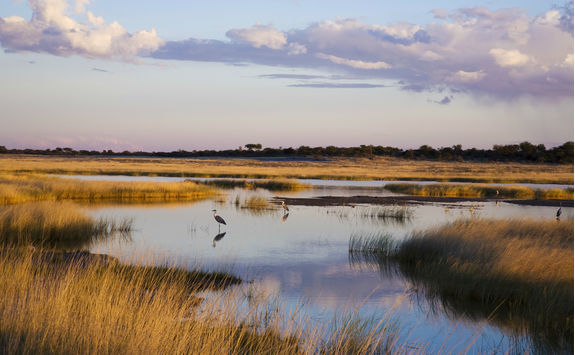 etoscha national park landscape