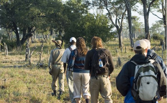 walking safari