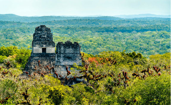 tikal ruins above treetops