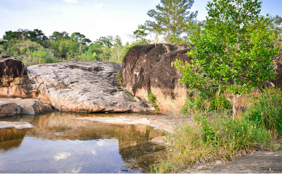 rio on pools nature park